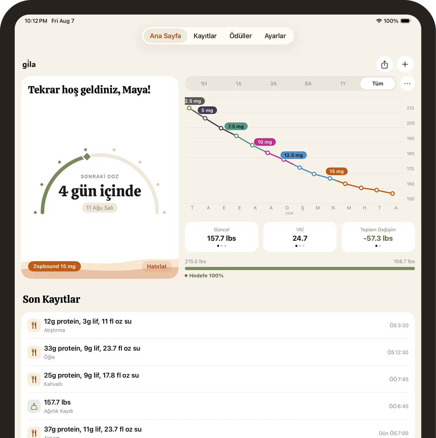 iPad'de Gila: doz göstergesi, grafik ve son kayıtlar yan yana